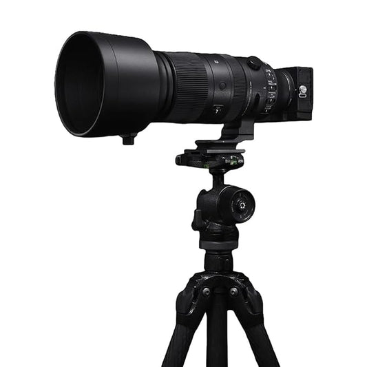 Sigma 60–600mm f/4.5–6.3 DG DN OS Sports (Sony E-mount)