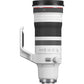 RF100-300mm F2.8 L IS USM