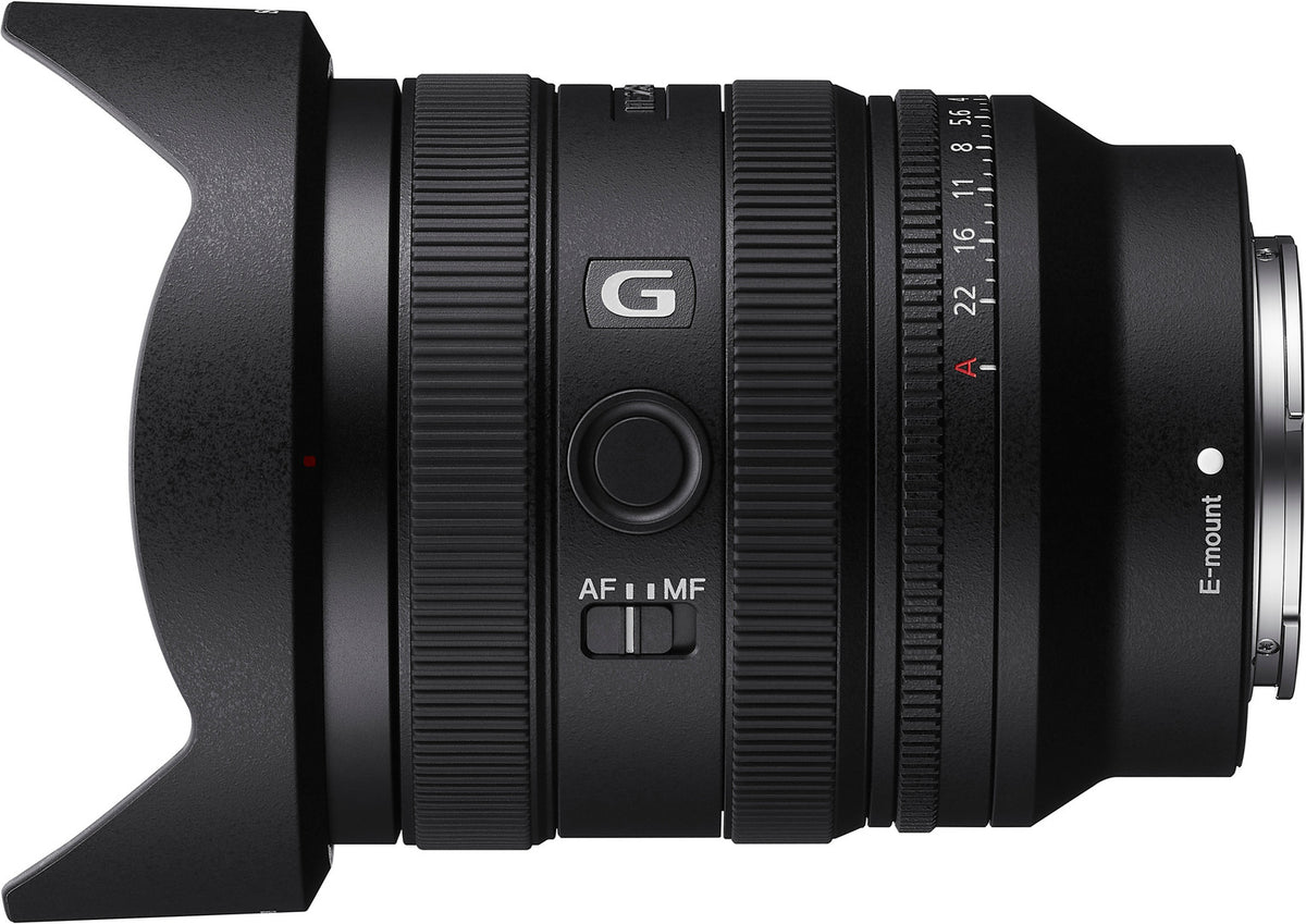 Sony SEL2450G